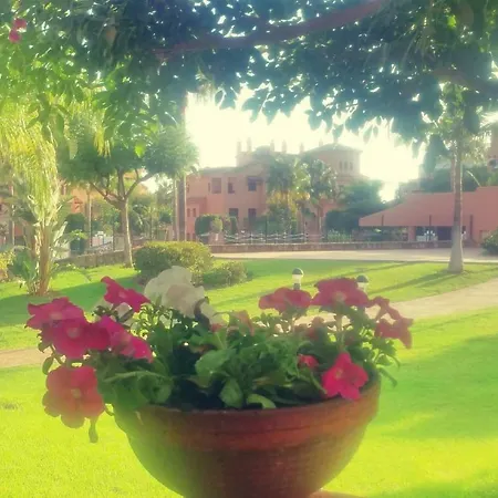 Hacienda Del Sol Deluxe Beachside Appartement